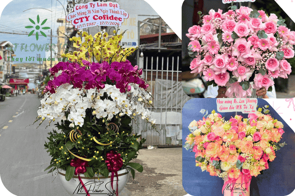 Đặt Hoa Khai Trương Quận Tân Bình 